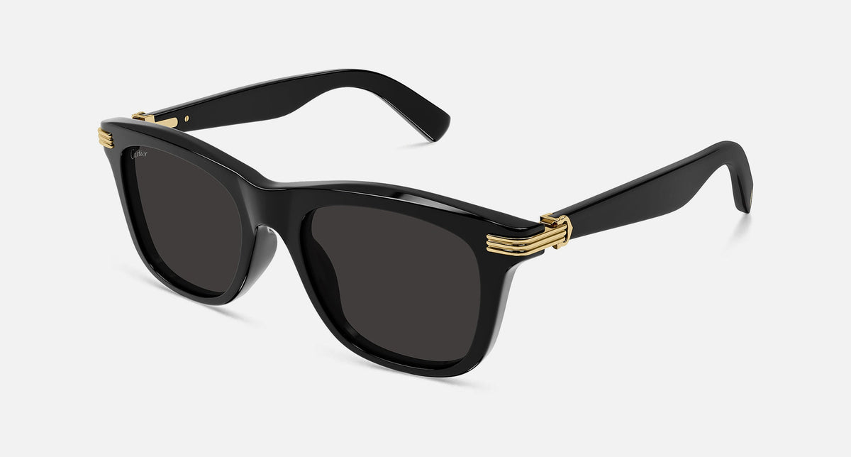 CT0396S / Black / Gray AR (001) / 53-20-145
