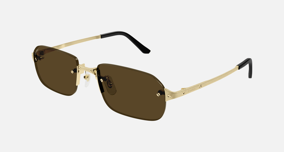CT0460S / Gold / Brown (002) / 56-20-145
