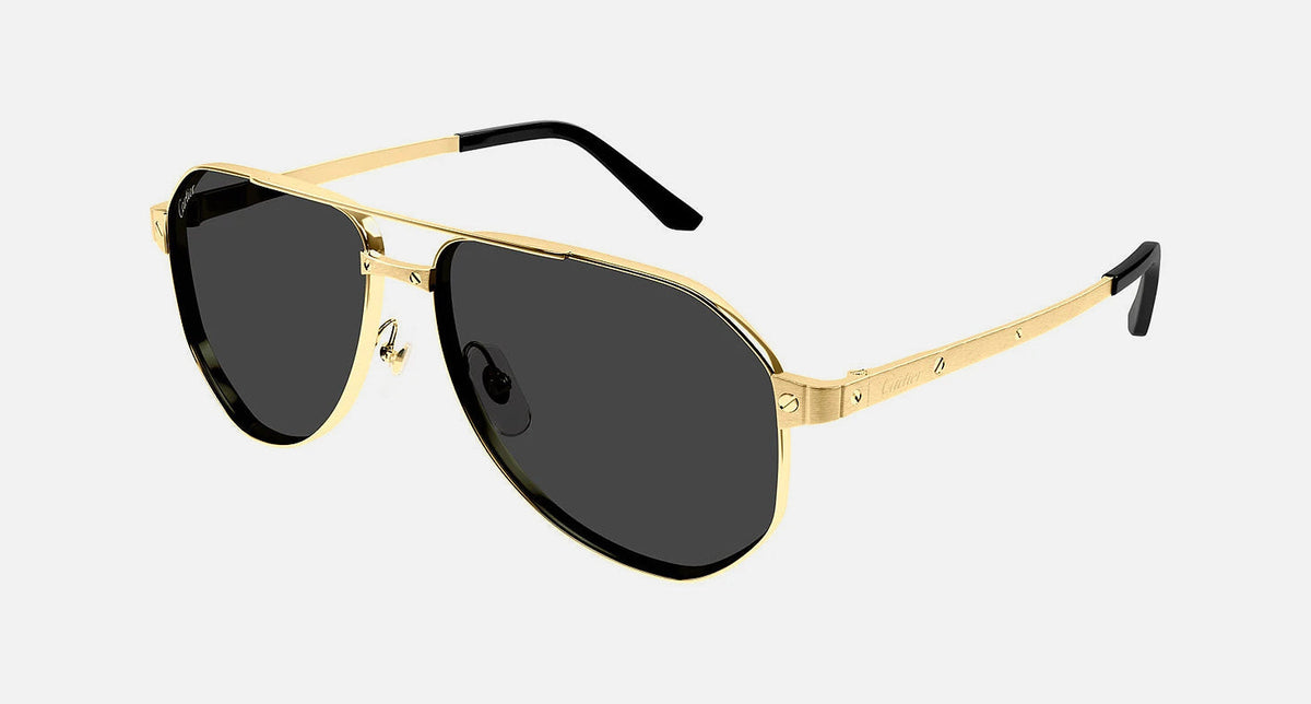 CT0461S / Gold / Smoke AR Polarized (001) / 60-14-145