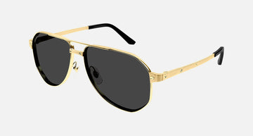 CT0461S / Gold / Smoke AR Polarized (001) / 60-14-145