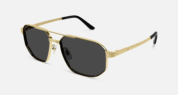 CT0462S / Gold / Smoke (001) / 60-16-145