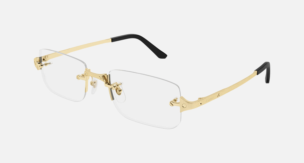 CT0479O / Gold (001) / 54-21-145