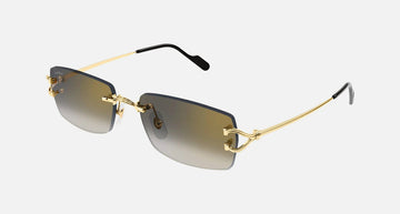 CT0550S / Gold / Gray Multi Treatment (001) / 56-18-140