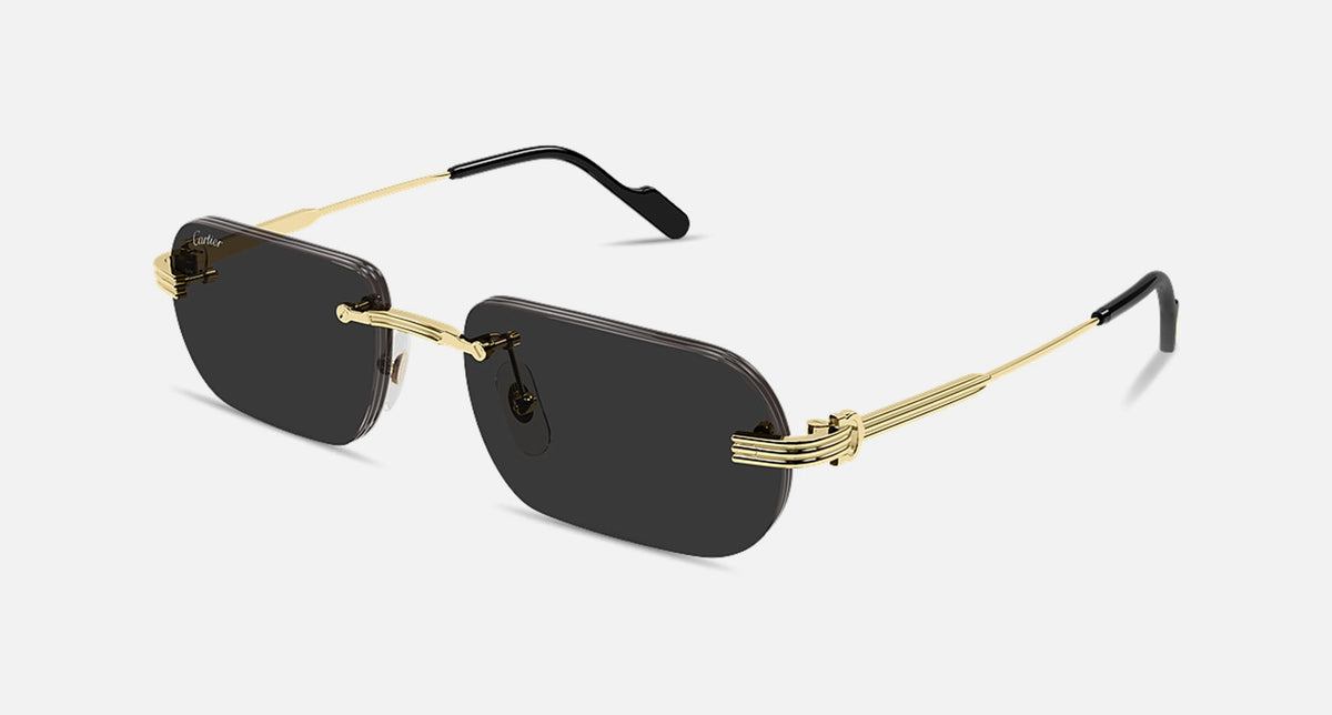 CT0577S / Gold / Grey (001) / 55-18-145
