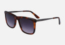 CK22536S / Original Lens/Brown Havana(220) / 56-19-145