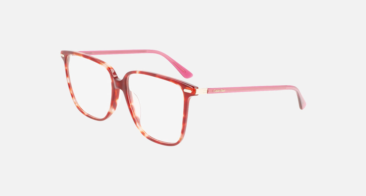 CK22543 / Burgundy Havana(609) / 56-15-140
