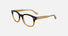 CK23511 / Brown Havana(220) / 49-21-140
