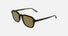 CK26507S / Brown/Havana(235) / 53-19-150