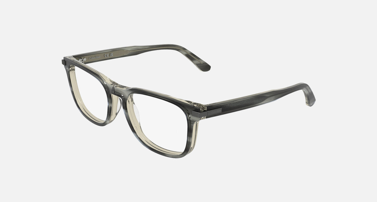 CK26514 / Transparent Striped Gray(027) / 54-19-145