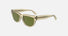 CKJ25600S / Original Lens/Yellow To Lime(746) / 54-17-140