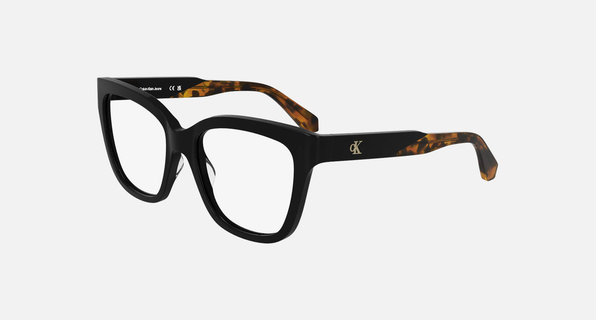 CKJ25616 / Black(001) / 53-17-135