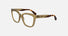 CKJ25616 / Brown(210) / 53-17-135