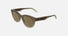 CKJ26600S / Brown/Brown(211) / 53-19-145