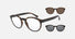 EA4152 / Havana (Matte havana) / Clear (Clear) (58021W) / 52-21-145