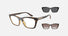 EA4274BU / Havana (Shiny havana) / Clear (Clear) (50261W) / 53-19-140