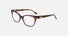 DK5058 / Plum/Tokyo Tortoise(505) / 52-17-140