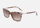 DK539S / Brown Gradient/Tortoise Pearlized Blush(205) / 55-16-135