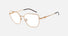 EA1176 / Brown (Metal brown) / Demo Lens (3427) / 51-16-140
