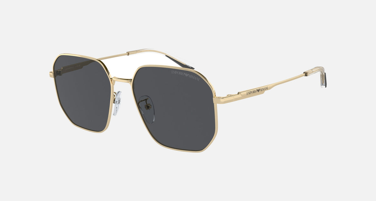 EA2154D / Gold (Shiny pale gold) / Grey (Dark Grey) (301387) / 57-17-145