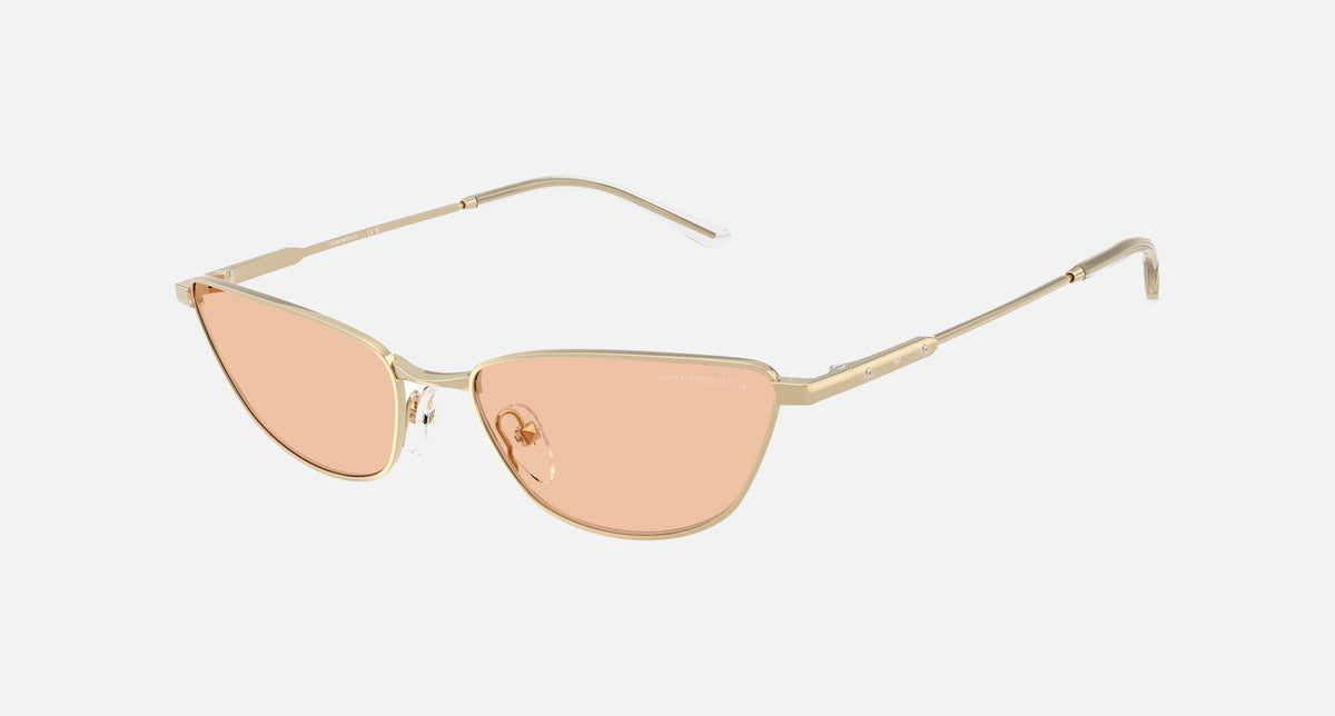 EA2174B / Gold (Shiny pale gold) / Brown (brown) (301393) / 55-17-140