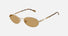 EA2175 / Gold (Matte pale gold) / Brown (brown) (300273) / 54-19-145