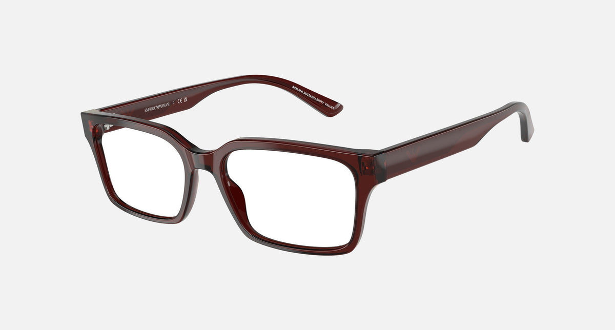 EA3244 / Brown (Transparent brown) / Demo Lens (6174) / 53-17-145