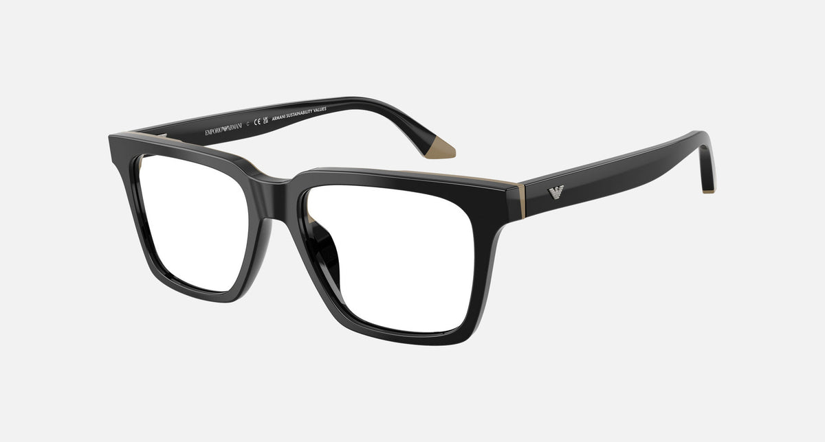 EA3272U / Black (Black/beige) / Demo Lens (6313) / 54-17-145