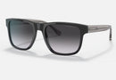 EA4163 / Black / Grey (58758G) / 56-19-145