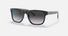 EA4163 / Black / Grey (58758G) / 56-19-145