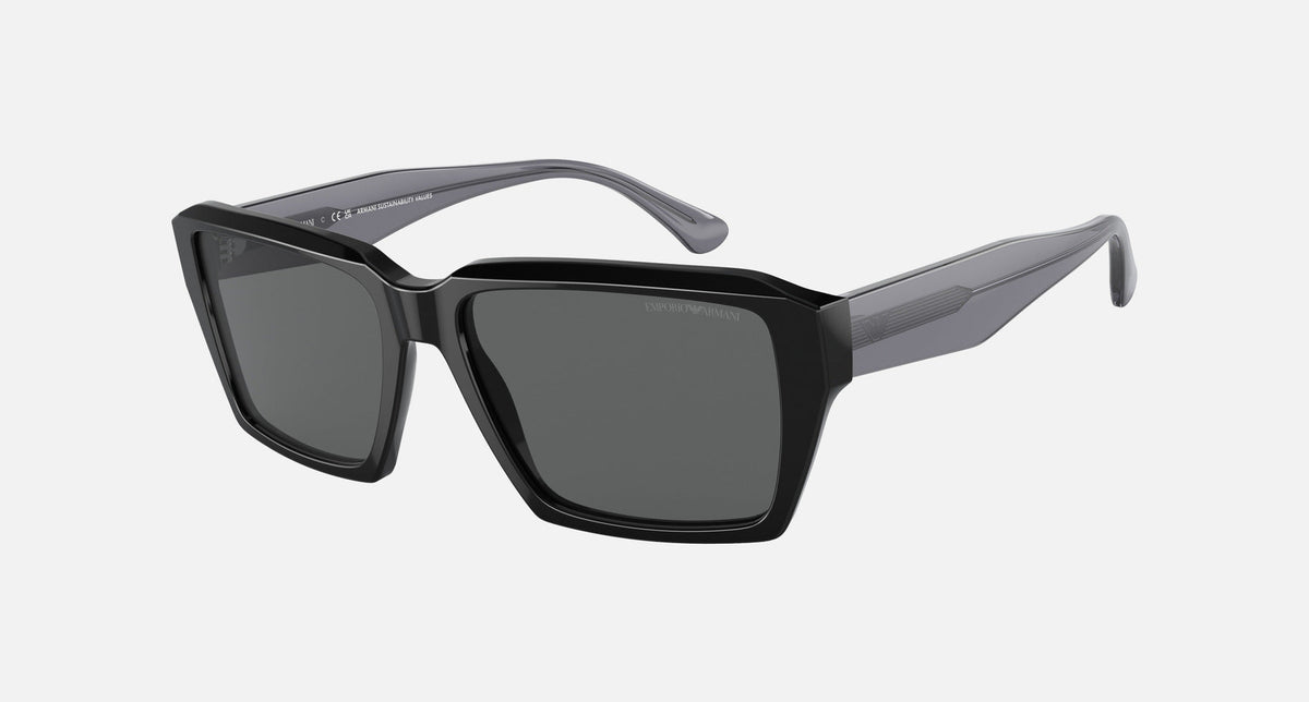 EA4186 / Black (Shiny black) / Grey (Dark Grey) (501787) / 58-17-145
