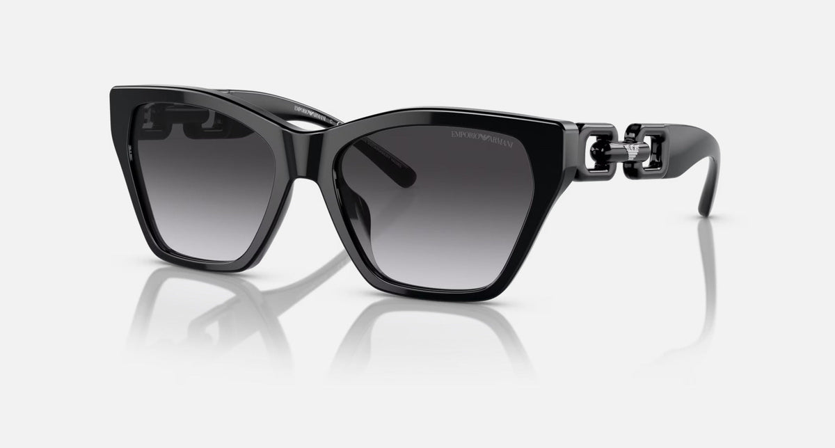 EA4203U / Black / Grey (50178G) / 55-17-140