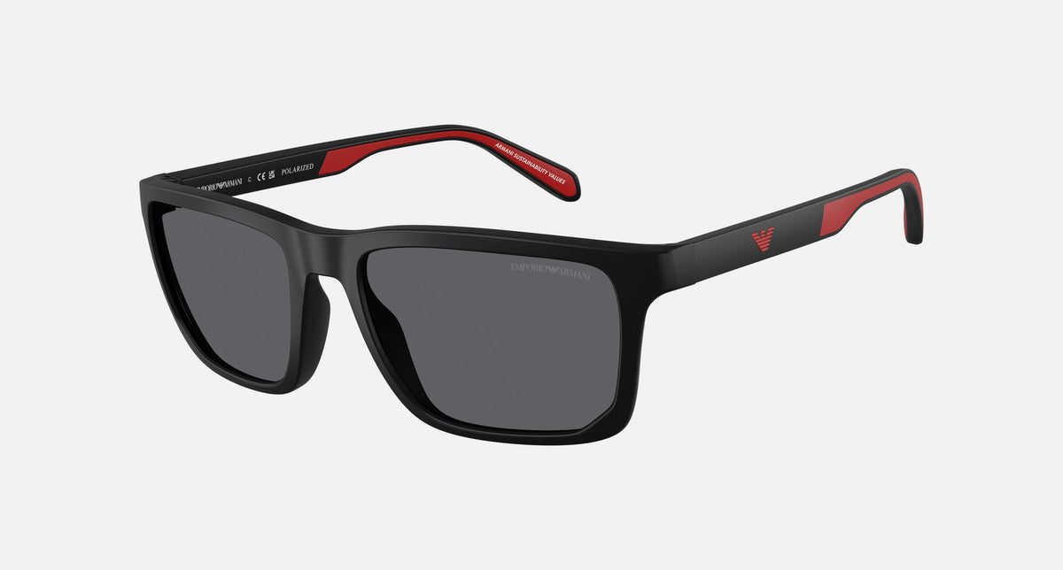 EA4219 / Black (Matte black) / Grey (Grey Polarized) (5001T3) / 57-18-145