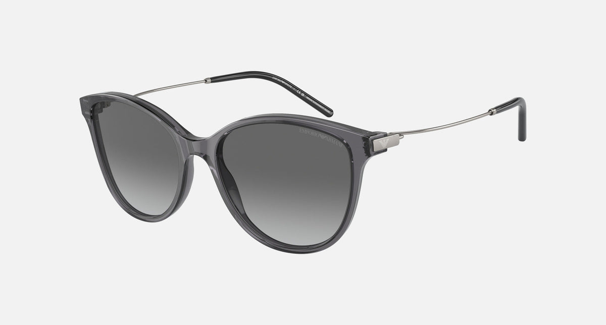 EA4220 / Black (Shiny transparent black) / Grey (Gradient Grey) (610611) / 54-17-140
