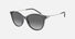EA4220 / Black (Shiny transparent black) / Grey (Gradient Grey) (610611) / 54-17-140