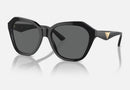EA4221 / Black / Grey (501787) / 56-17-140