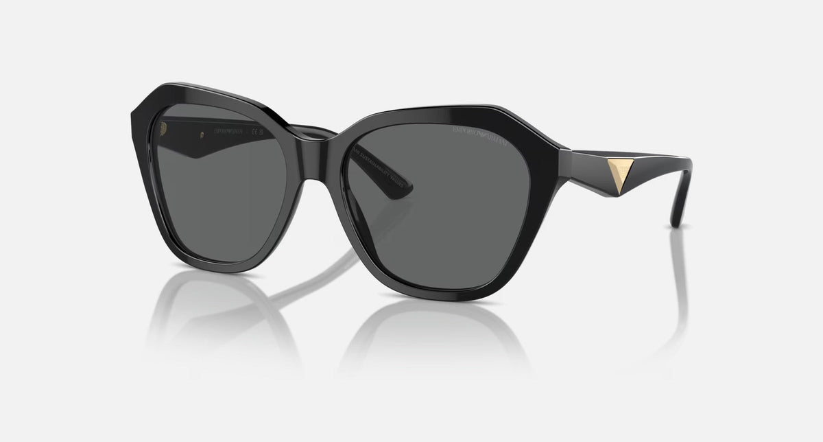 EA4221 / Black / Grey (501787) / 56-17-140