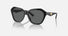 EA4221 / Black / Grey (501787) / 56-17-140