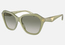 EA4221 / Green (Shiny opaline green) / Green (Gradient Green) (61168E) / 56-17-140