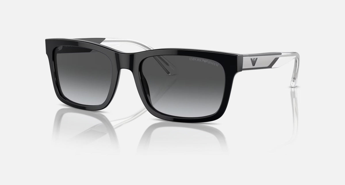 EA4224 / Black / Grey (5017T3) / 57-19-145