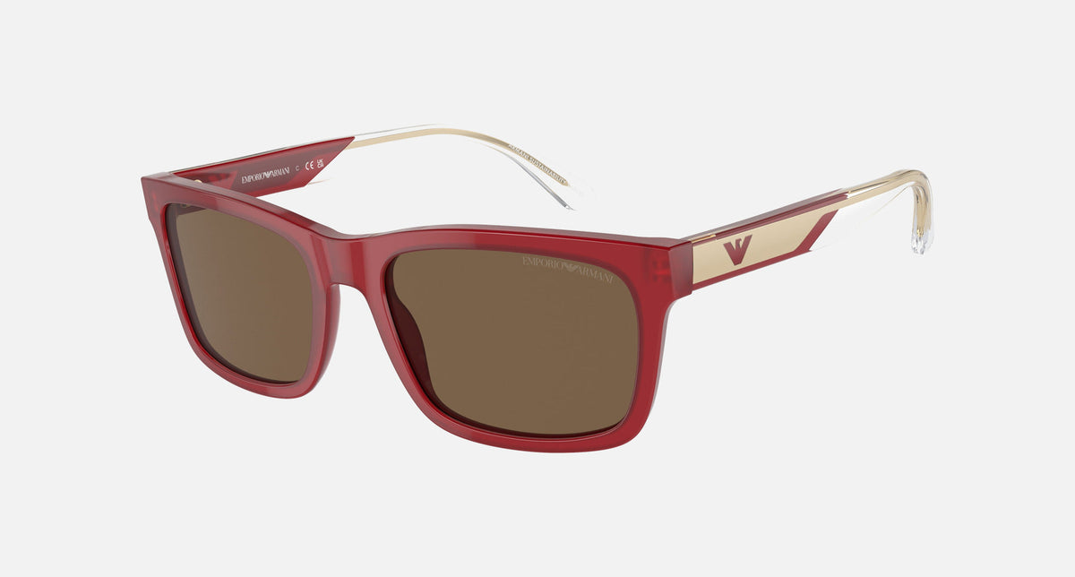 EA4224 / Bordeaux (Shiny bordeaux) / Brown (Dark Brown) (609373) / 57-19-145
