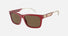 EA4224 / Bordeaux (Shiny bordeaux) / Brown (Dark Brown) (609373) / 57-19-145