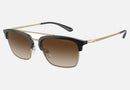 EA4228 / Black (Shiny black/matte pale gold) / Brown (Gradient Brown) (300213) / 55-18-145