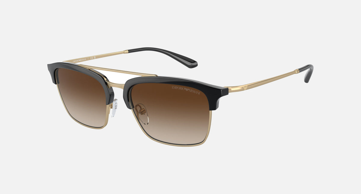 EA4228 / Black (Shiny black/matte pale gold) / Brown (Gradient Brown) (300213) / 55-18-145