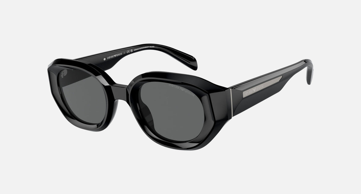 EA4230U / Black (Shiny black) / Grey (Dark Grey) (501787) / 48-25-145