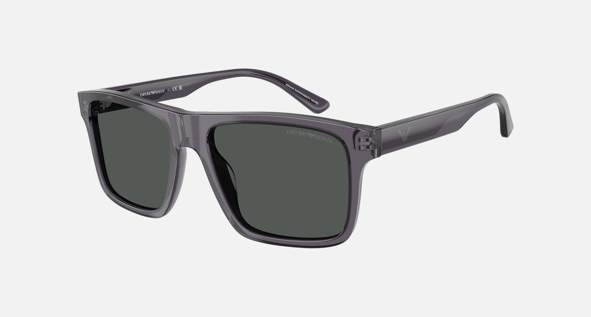 EA4232 / Grey (Transparent dark grey) / Grey (smoke) (610687) / 57-18-145