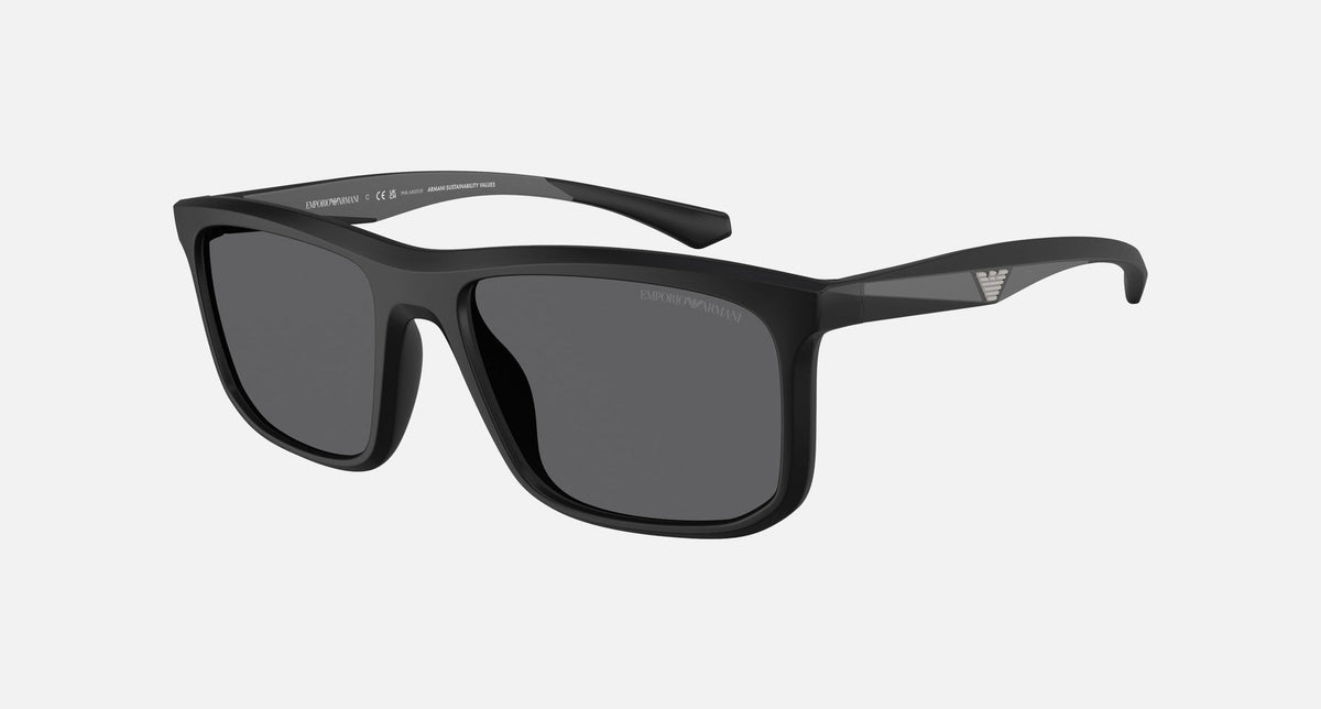 EA4234U / Black (Matte black) / Grey (Grey Polarized) (5001T3) / 57-18-145
