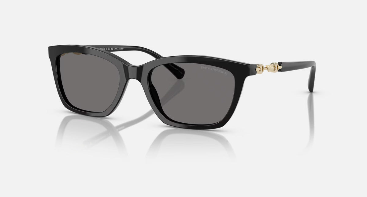 EA4238 / Black / Grey (501781) / 54-18-140
