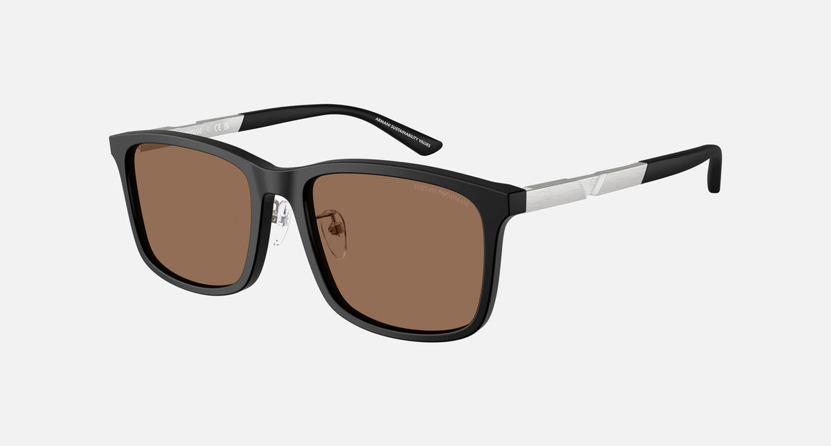 EA4241D / Black (Matte black) / Brown (Dark Brown) (500173) / 57-19-145
