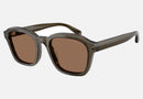 EA4245U / Grey (Shiny transparent grey) / Brown (Dark Brown) (624973) / 54-21-145