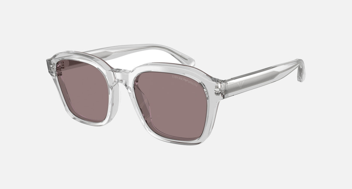 EA4245U / Transparent (Shiny transparent crystal) / Brown (Purple Brown) (62507N) / 54-21-145